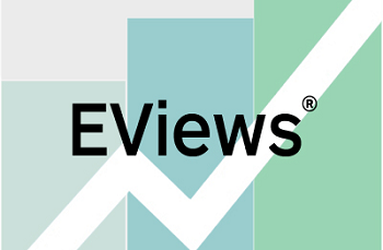 Actual Academy | EVIEWS